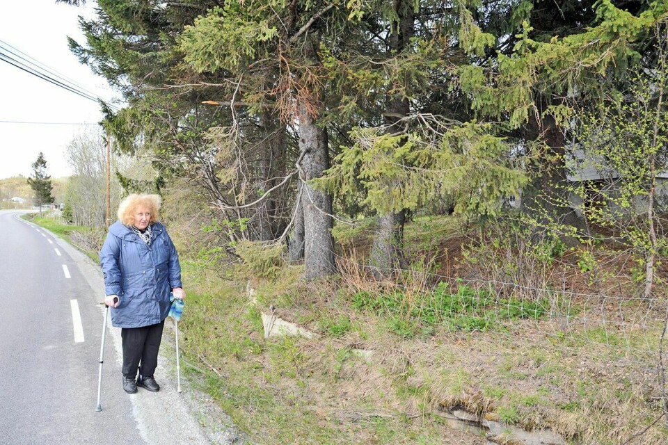 ADVOKATMAT: Anne-Marie Løvlid er en av to grunneiere som har tatt advokat for å hindre den videre planlagte utbyggingen av gang- og sykkelvei på Mestervik. (Arkivfoto)