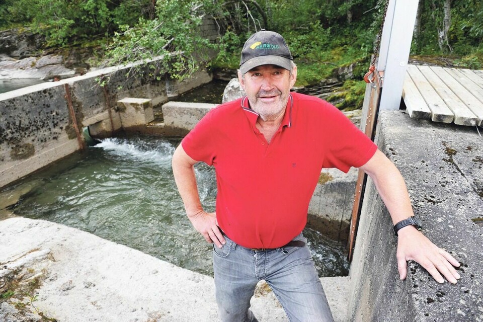 MYE FISK I TRAPPA: Tor Kvammen er en av oppsynsmennene ved fisketrappa i Målselvfossen. For andre året på rad kan han glede seg over rekordstor oppgang. Foto: MORTEN KASBERGSEN