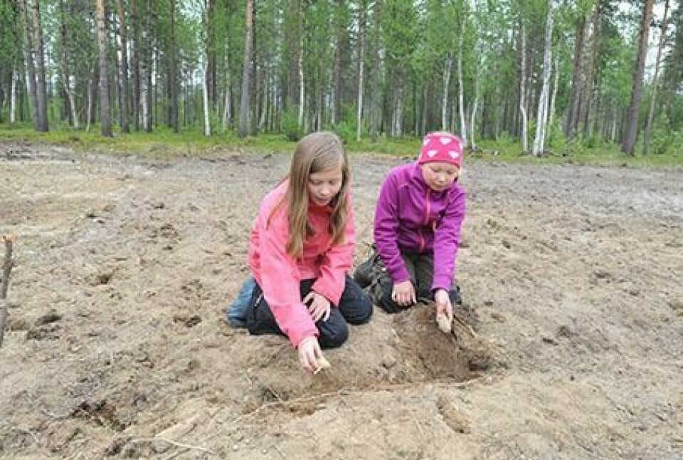 SETTE POTET: Elle og Karina demonstrerte gjerne hvordan man setter poteten i jorda.