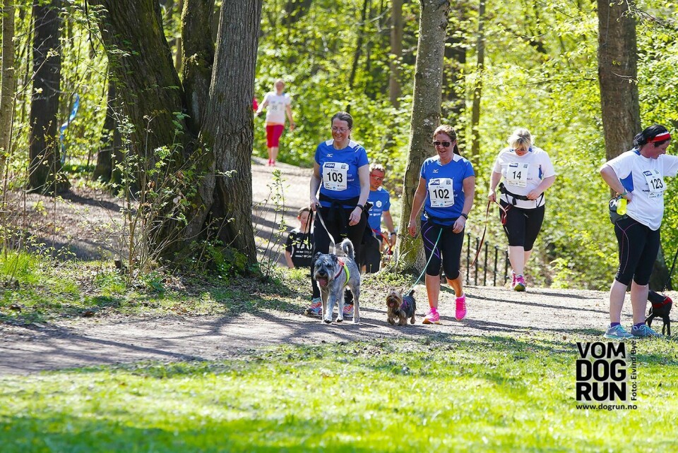 ÅPENT FOR ALLE: Om du vil gå eller løpe bestemmer du selv i hundeløpet «Vom Dog Run». Bildet er fra løpet i Frognerparken tidligere i år. Foto: Eivind Bye/Activity Group