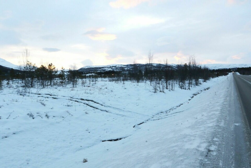 STORT OMRÅDE: Det er et område på over 1000 dekar som nå skal områdereguleres. Området ligger mellom Tømmerelv og Stormoen i Balsfjord. Foto: Ivar Løvland