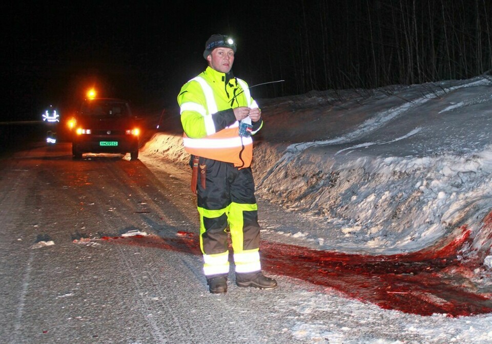FORTVILER: Jørn Larsen, som er leder i viltnemda i Målselv, fortviler over hvordan Balsfjord kommune har håndtert saken etter at en påskutt elg ble funnet på Takvatn. (Arkivfoto)