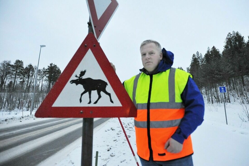 ADVARER OM VANDRENDE ELG: Leder for ettersøkskorpset i Målselv viltnemnd, Tor Eriksen, forteller at elgfaren etter veiene er økende i hele kommunen. (Arkivfoto)