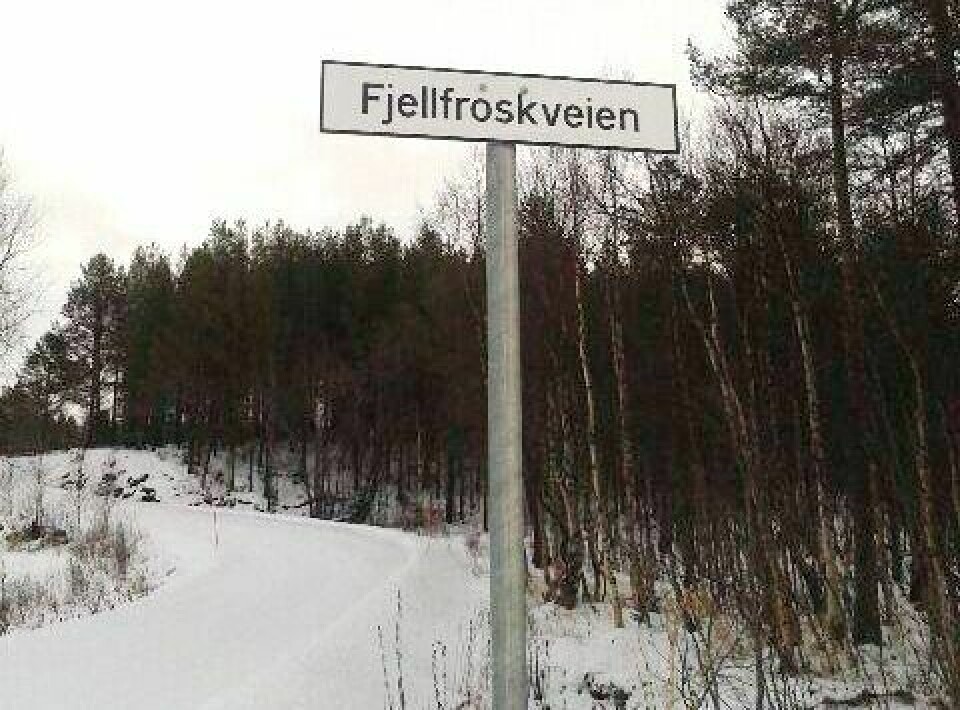 NAVNESAK: Balsfjord kommune oppretter navnesak for at det fortsatt skal kunne stå Fjellfroskveien på skiltet, i stedet for Fjellfrøsveien. Arkivfoto: Arnhild Lindholm