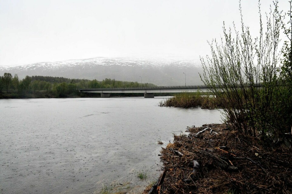 INGEN FLOMFARE: Selv om det fremdeles er mye snø i fjellene, frykter ikke NVE noen storflom i Indre Troms i uka som kommer. (Foto: Gjermund Nilssen)