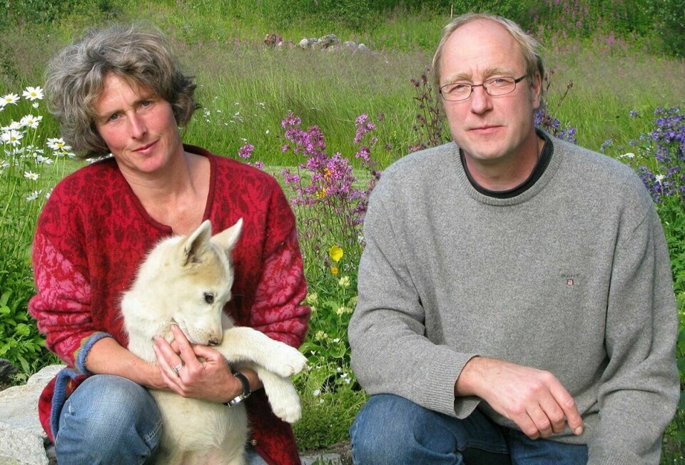 INVITERER: Regina Elpers og Bjørn Klauer ønsker alle velkommen til feiring av huskyfarmen på lørdag. Foto: Huskyfarm Innset