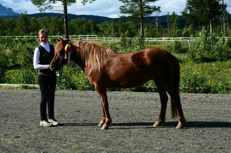 GLAD I HEST: Annfrid Jacobsen er svært opptatt av hest, og er nå med på å planlegge en tur på hesteryggen hele Norge på langs. (Foto: Privat).