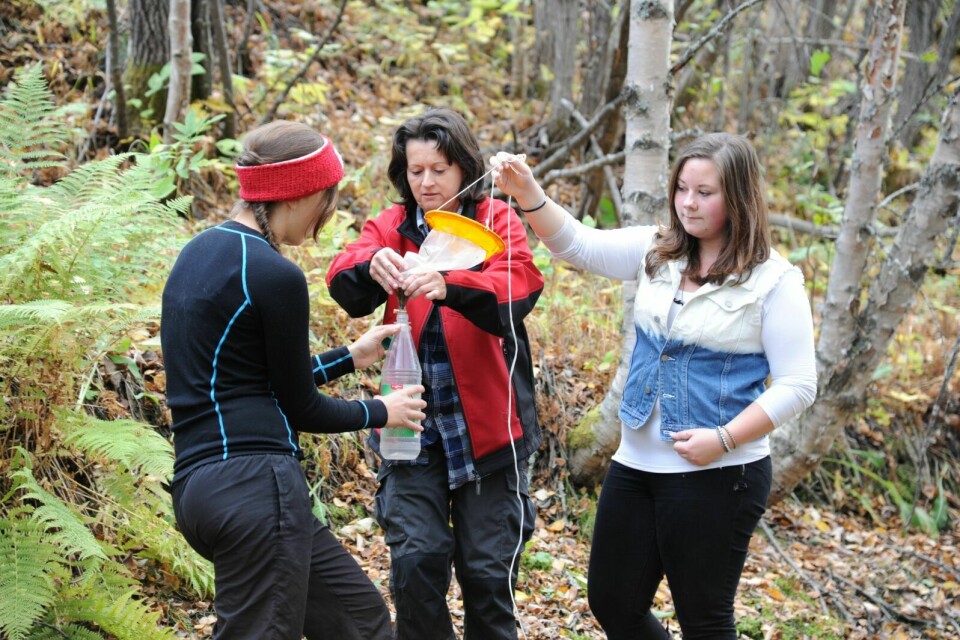 FUNN: Elevene på Øvergård Montessoriskole har hjulpet forskere med å kartlegge vanndyret dafnia. De fant hele 33 ulike arter av det bittelille krepsdyret som kan være rødlistearter. (Arkivfoto: Malin C.S. Myrbakken)