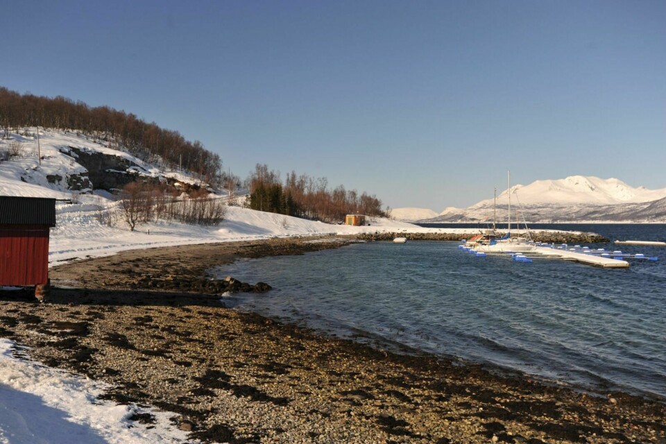 FULLFØRES: Målet for AL Målsnes båthavn er å få avsluttet steinbruddet til venstre, fullført molobyggingen og gjøre sluttarbeidet på anlegget i løpet av året. Foto: Iris Hallen