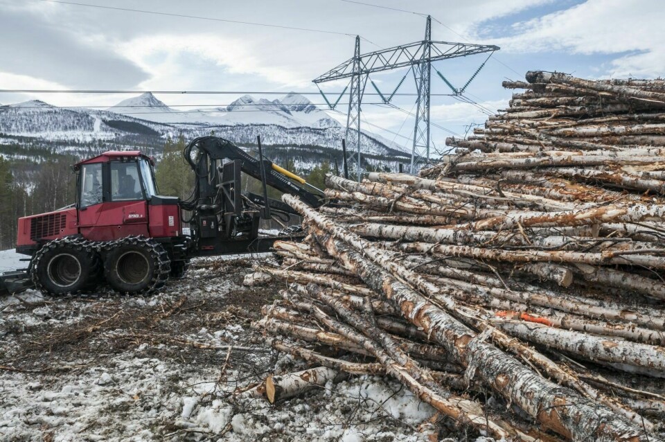RYDDER SKOG: Nå ryddes det skog i traseen sør for Bardufoss transformatorstasjon, parallelt med den gamle linja. Her, i sørhellinga av Neverløpmoen i Nedre Bardu, er det Olsrud Skogsdrift AS som gjør arbeidet. De er underleverandør til SB Skog. (Foto: Terje Tverås)