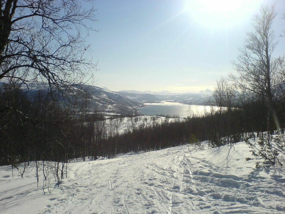 PÅ TOPP: Fra Målselv er turen til Varto på førsteprioritet. Denne toppen kan også besøkes på vinterstid og byr på en flott utsikt oppover Målselvdalen. (Foto: Vigdis Jensen)