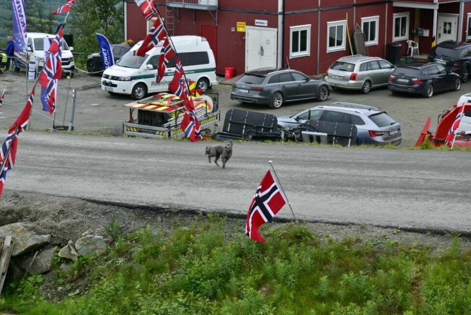 Norges Råeste Bakkeløp Foto: Marie Nitteberg Dalhaug
