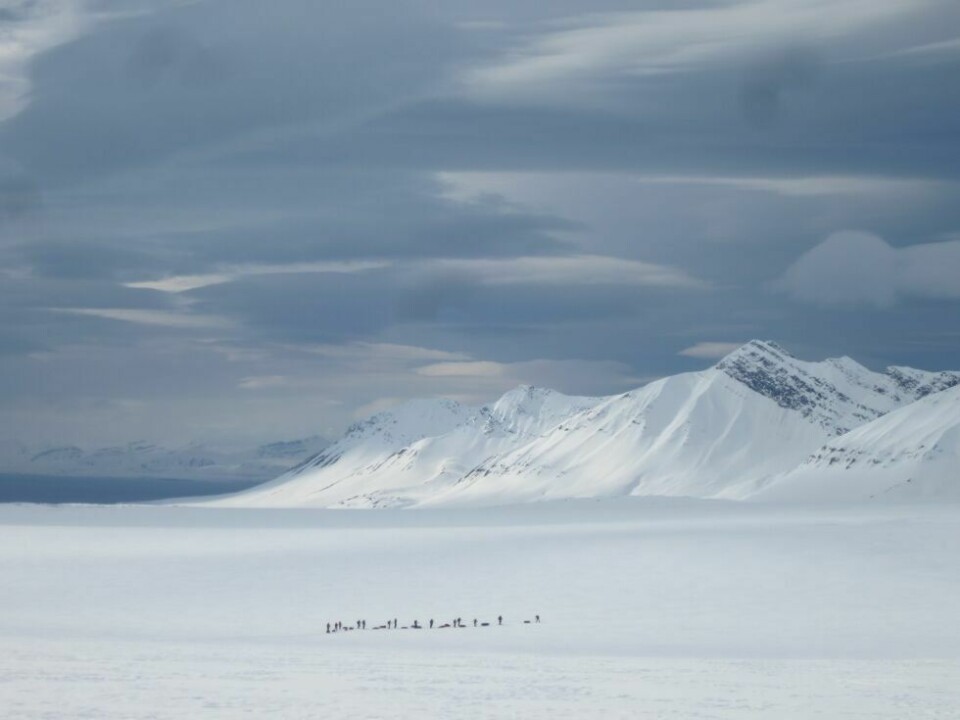 Årets villmarksfoto 202210: Dette bildet er tatt i 2017, på Svalbard i forbindelse med en 5-dagers skitur på blant annet isbreer. Bildet viser ene gruppen med skigåere mot det mektige landskapet. Det var et spesielt lys denne dagen som gjorde naturen blålig, skriver fotografen. Fotograf og innsender: Anne-Lise Berg