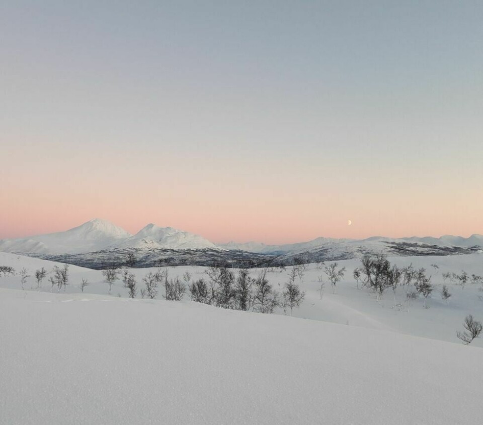 Årets villmarksfoto 202255: Fottur på Andsfjellet i Målselv 10 januar 2022 i - 19 grader. Tatt med mobilkamera. Fotograf og innsender: Gerd K Borgen.