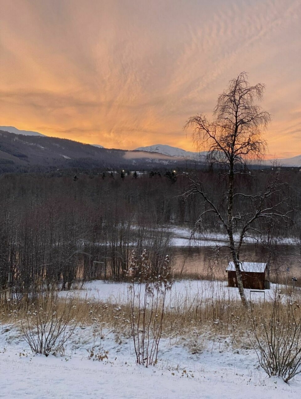 Årets villmarksfoto 202270: Elveparken Setermoen v/gapahuken ut mot Barduelva. Bildet viser sesongskifte fra høst til vinter i vakre farger. (24. oktober 2021) Fotograf og innsender: Sissel Sagen