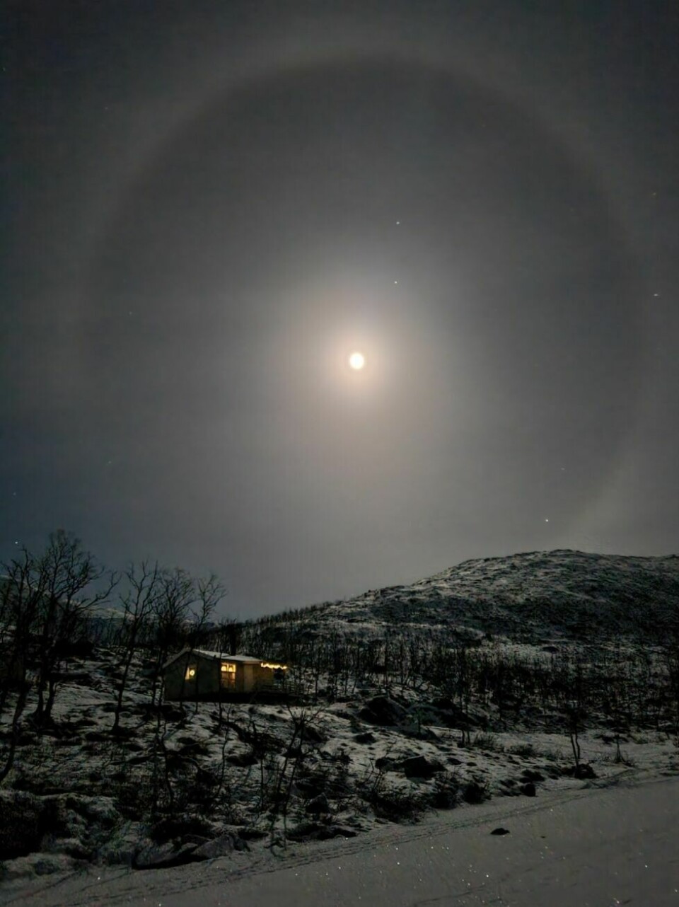 Årets villmarksfoto 2022105: Bildet er tatt i desember 2021, en fantastisk kveld hvor det var måneskinn. Rundt månen var en nydelig halo. Fotograf og innsender: Gunn-Sissel Giæver Haugland.