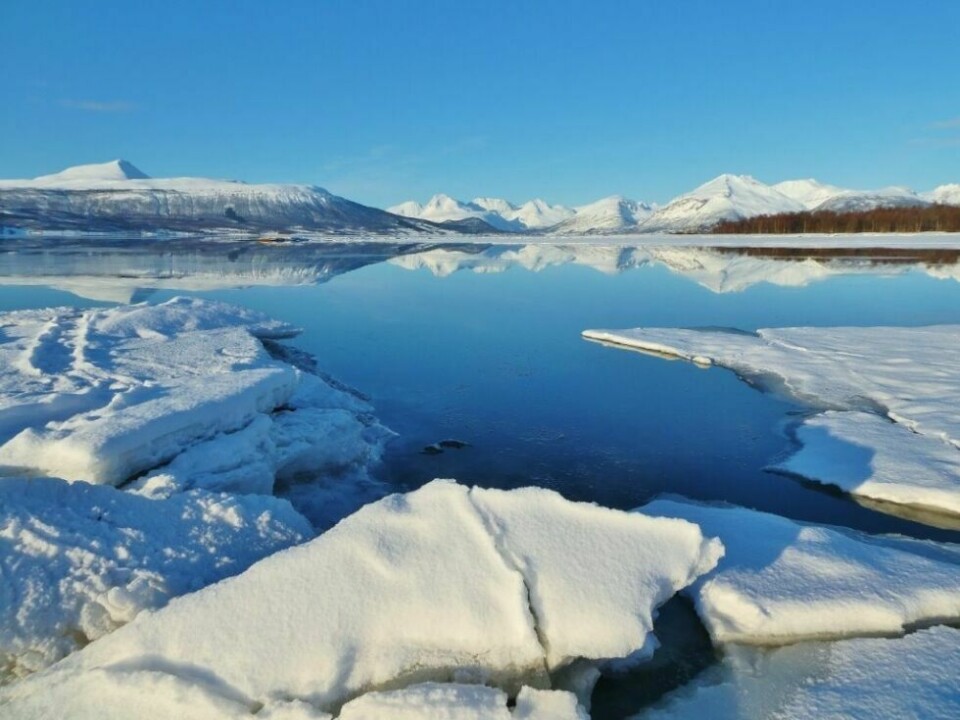 Årets villmarksfoto 2022113: Isen i ferd med å knekke opp på Sørkjosleira i Balsfjord. Fotograf og innsender: Kjell-Erik Sørum.