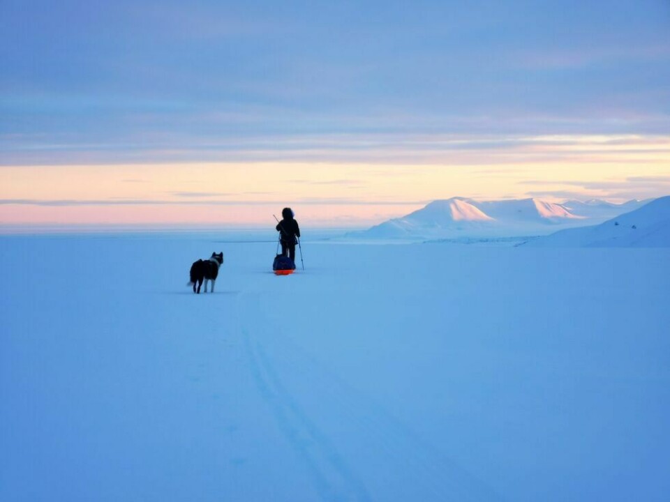 Årets villmarksfoto 2022129: Naturens største glede er menneskets fravær. Kryssing av Svalbard. Fotograf og innsender: Fredrik Harr Moen.