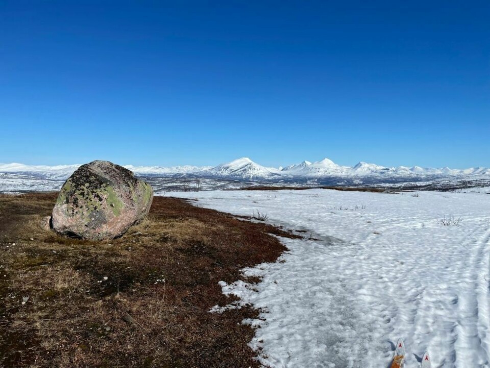 Årets villmarksfoto 2022152: Skitur på slutten av vinteren. Fotograf og innsender: Bjørn Olav Hilstad, Øverbygd