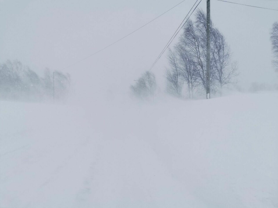 DÅRLIG SIKT: Stormen i nord har gjort sitt inntog med stiv kuling i Indre Troms. Mandag ble man anbefalt å holde seg hjemme. Foto: Malin Cerense Straumsnes