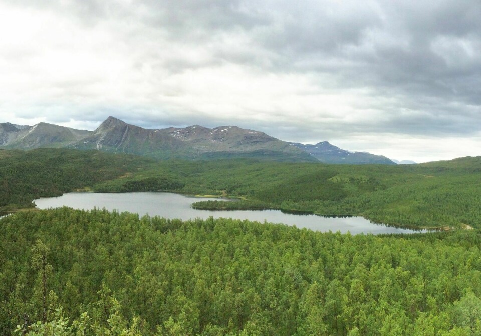 NATURPERLE: Juksavatn friluftsområde i Balsfjord skal tilrettelegges for økt tilgjengelighet. Troms fylkeskommune har bevilget 210 000 kroner til prosjektet. (Arkivfoto: Leif A. Stensland)