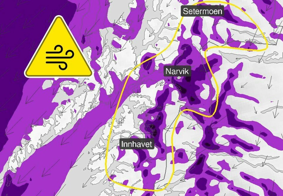 Det er sendt ut gult farevarsel om kraftige vindkast for deler av Nord-Salten, Ofoten og Sør-Troms. Grafikk: Meteorologisk institutt