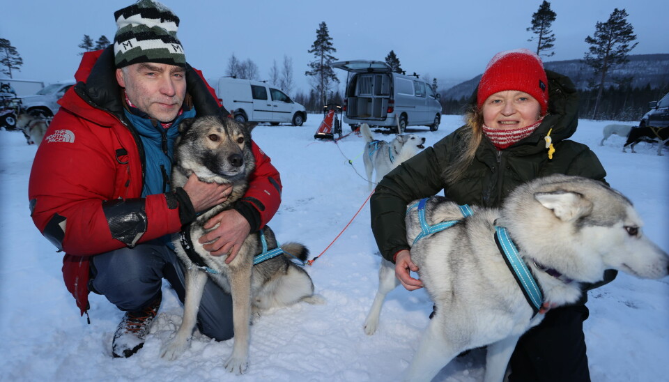Terje Aune og kona Rita Kramvig med lederhundene Katla og Garm.