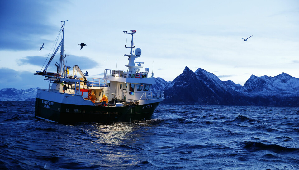 Fiskeriministeren vil tiltrekke flere jenter og kvinner til fiskerinæringen og har satt av 2 millioner kroner til dette arbeidet. Bildet er tatt i 2015 ved Gryllefjord på utsiden av Senja.